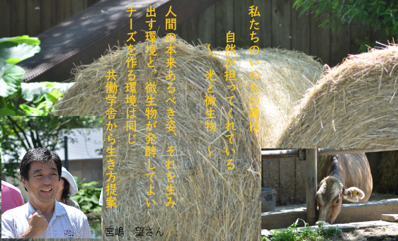 メタサイエンスセミナー Of Egao メタサイエンスセミナー Of Egao